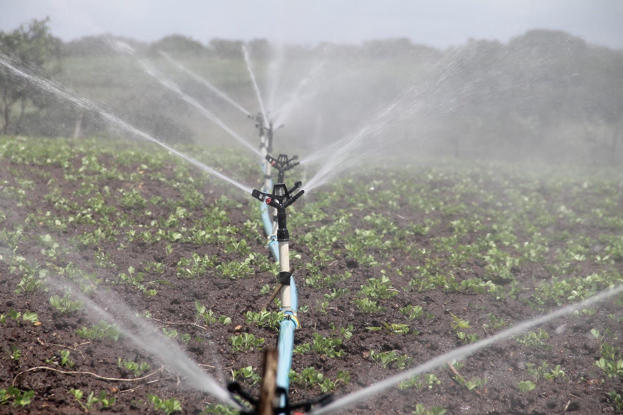 Farming irrigation on crops 