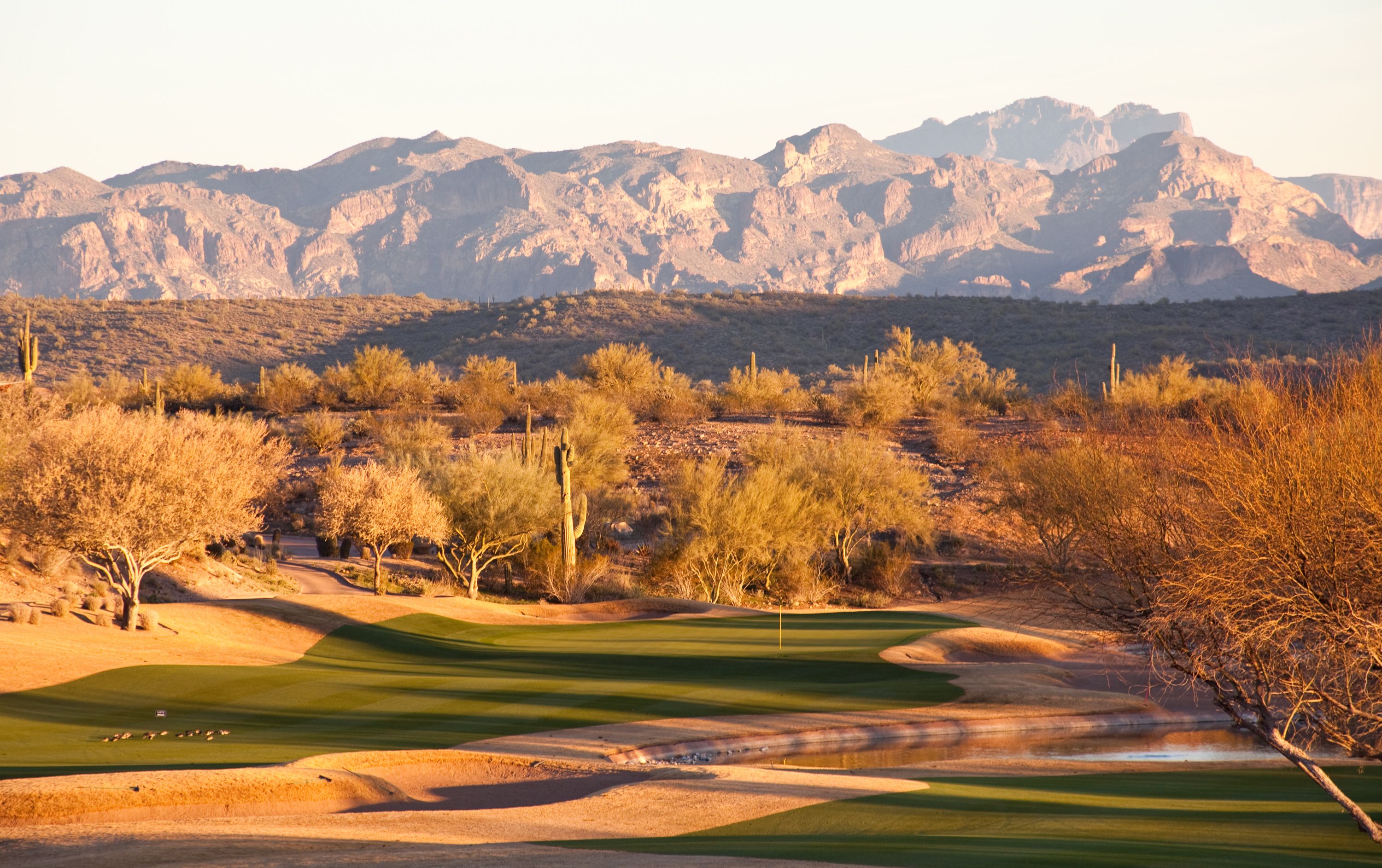 Desert golf hole. Scottsdale, Arizona, United States.